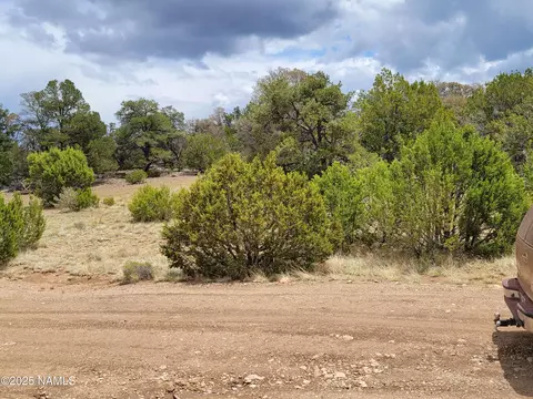 137 E Jackpine Ln, Williams, AZ 86046 photo 7