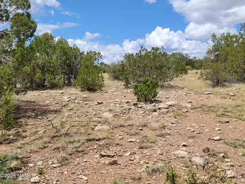 137 E Jackpine Ln, Williams, AZ 86046 photo 2