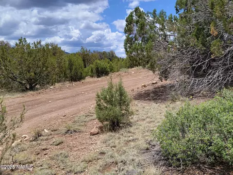 137 E Jackpine Ln, Williams, AZ 86046 photo 3
