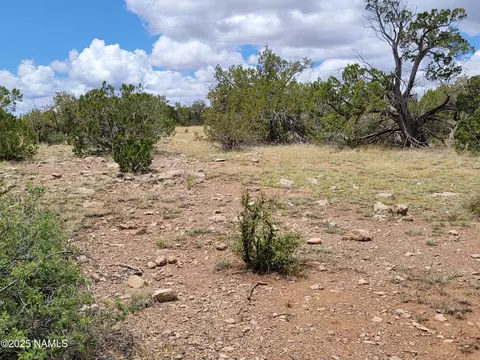 137 E Jackpine Ln, Williams, AZ 86046 photo 5