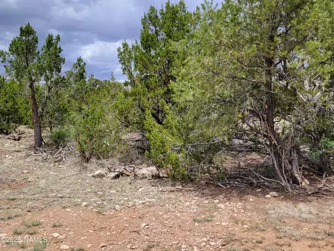 137 E Jackpine Ln, Williams, AZ 86046 photo 6