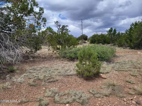 137 E Jackpine Ln, Williams, AZ 86046 photo 8