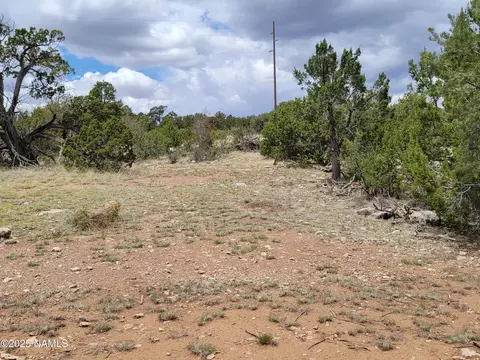 137 E Jackpine Ln, Williams, AZ 86046 photo 4