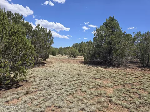 188 E Orchid Dr, Williams, AZ 86046 photo 4