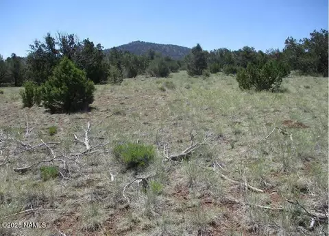 0 Espee Rd, Williams, AZ 86046 photo 12