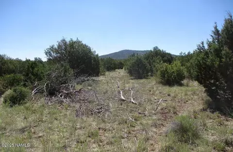 0 Espee Rd, Williams, AZ 86046 photo 14