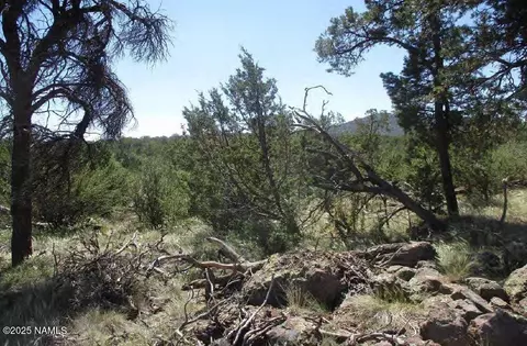 0 Espee Rd, Williams, AZ 86046 photo 13