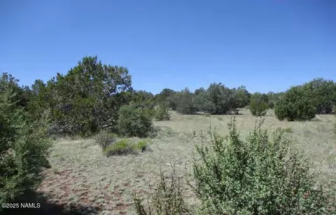 0 Espee Rd, Williams, AZ 86046 photo 11