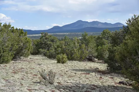 20202107 Honeysuckle Rd # C, Williams, AZ 86046