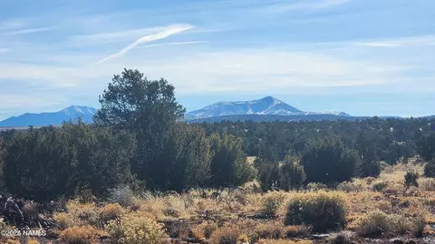 4378 Lasso Loop, Williams, AZ 86046 photo 27
