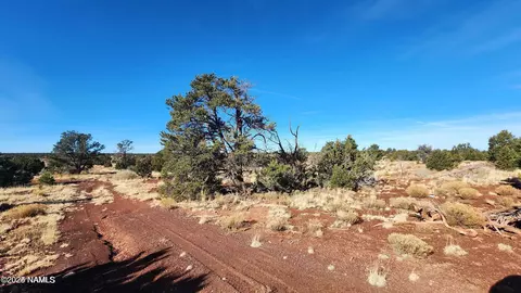 4378 Lasso Loop, Williams, AZ 86046 photo 10
