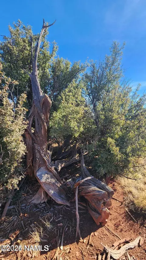 4378 Lasso Loop, Williams, AZ 86046 photo 11
