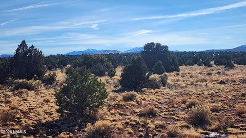 4378 Lasso Loop, Williams, AZ 86046 photo 17