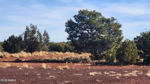 4378 Lasso Loop, Williams, AZ 86046 photo 13