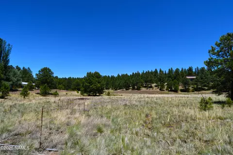 1539 Homestead Rd, Flagstaff, AZ 86005