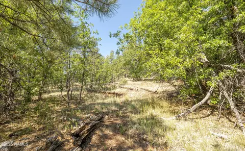 1905 E Mountain View Ave, Flagstaff, AZ 86004 photo 24