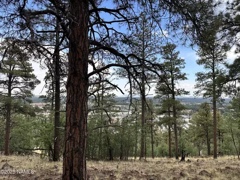 1548 W Lower Coconino Ave, Flagstaff, AZ 86001