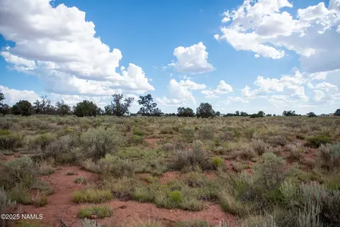 664 E Cimmaron Strip, Williams, AZ 86046