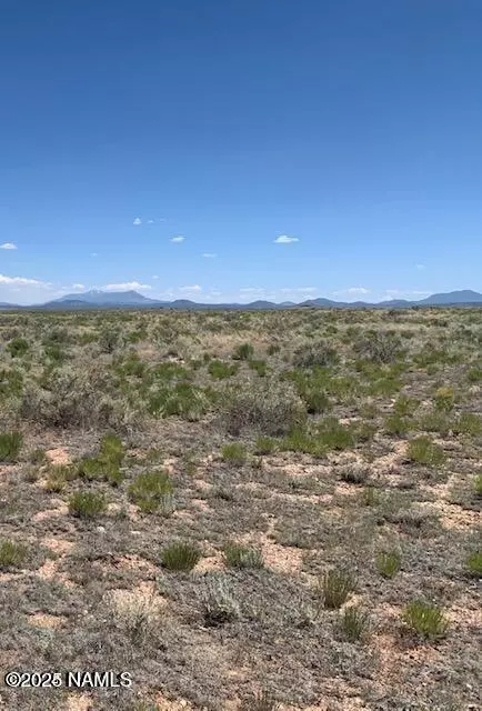 3030 S Walnut Dr, Williams, AZ 86046 photo 2