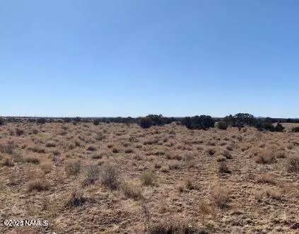 3030 S Walnut Dr, Williams, AZ 86046 photo 5
