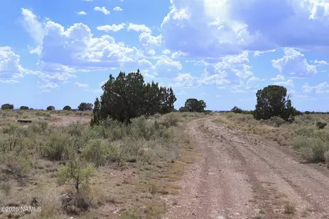 815 E Wesleyan Ave, Williams, AZ 86046