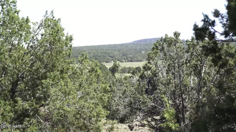 552 Stone Lake Blvd, Williams, AZ 86046