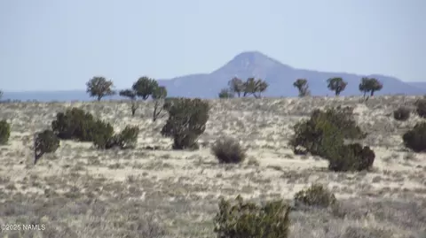 6366 S Smoketree Rd, Williams, AZ 86046