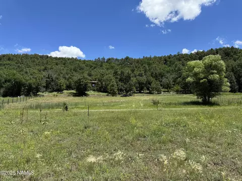 76 Lakeview Ct, Stoneman Lake, AZ 86038