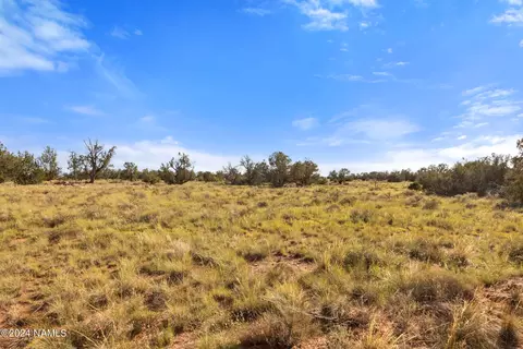 1670 Silver Bear Ln #B, Williams, AZ 86046 photo 8