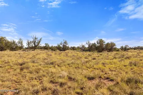 1670 Silver Bear Ln #B, Williams, AZ 86046 photo 9