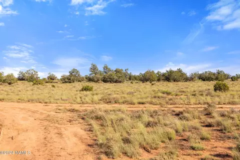 1670 Silver Bear Ln #B, Williams, AZ 86046 photo 5