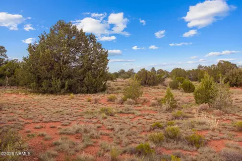 4675 E Simmons Ln N, Williams, AZ 86046 photo 19