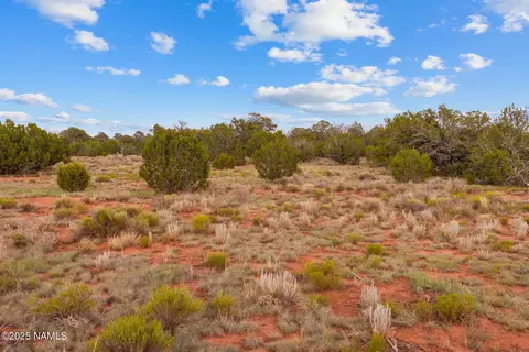 4675 E Simmons Ln N, Williams, AZ 86046 photo 20
