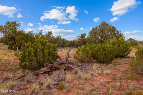 4675 E Simmons Ln N, Williams, AZ 86046 photo 21