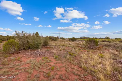 4675 E Simmons Ln N, Williams, AZ 86046 photo 22