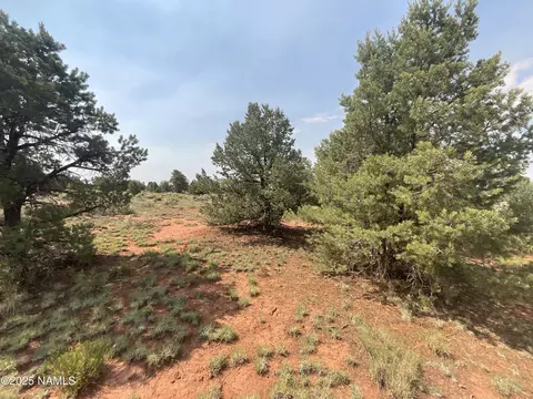 16 S Kenwood St, Williams, AZ 86046