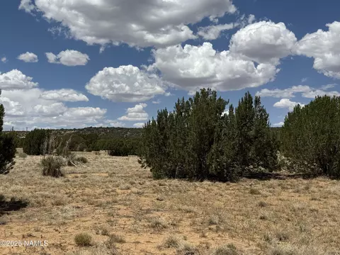 77 County Rd 8020, Concho, AZ 85924