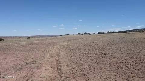 6 County Road N8541, Concho, AZ 85924 photo 5