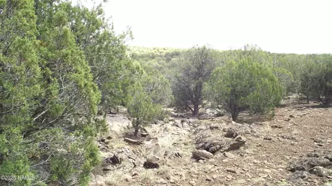 13 Westwood Ranch Rd, Williams, AZ 86046 photo 26