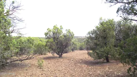 13 Westwood Ranch Rd, Williams, AZ 86046 photo 23