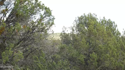 13 Westwood Ranch Rd, Williams, AZ 86046 photo 21