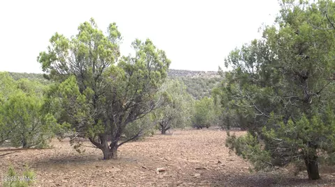13 Westwood Ranch Rd, Williams, AZ 86046 photo 24