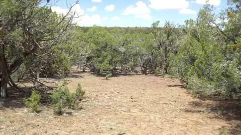 13 Westwood Ranch Rd, Williams, AZ 86046 photo 13
