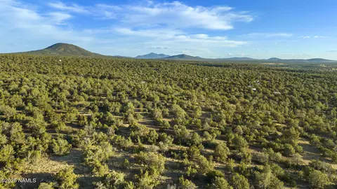 591 E Deerlick Trl, Williams, AZ 86046