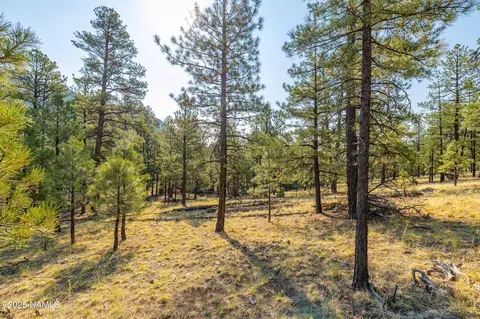 4195 N Subera Ln, Flagstaff, AZ 86001