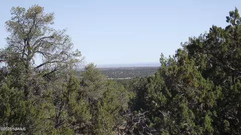 730 E Wampum Ln, Williams, AZ 86046