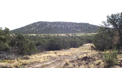 802 E Wampum Ln, Williams, AZ 86046 photo 5