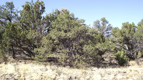 802 E Wampum Ln, Williams, AZ 86046 photo 7