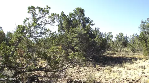 802 E Wampum Ln, Williams, AZ 86046 photo 3