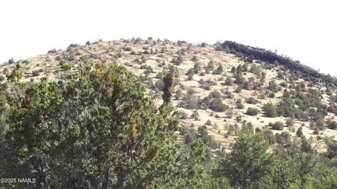 802 E Wampum Ln, Williams, AZ 86046 photo 4